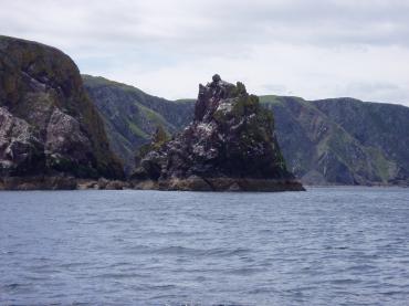 Home - St Abbs Diving